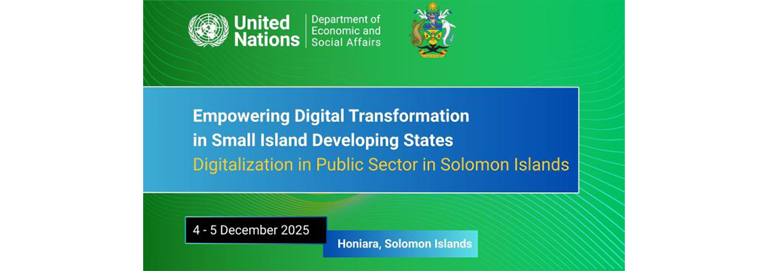 Empowering Digital Transformation in Small Island Developing States: Digitalization in Public Sector
